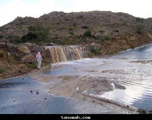 العمدة