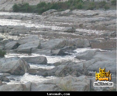 العمدة