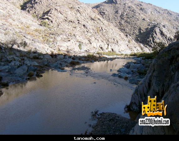 العمدة