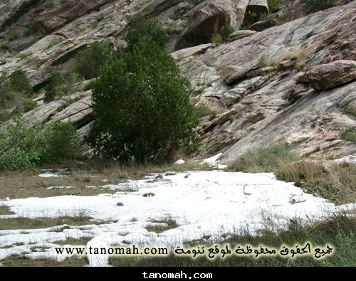 الأمطار والسيول