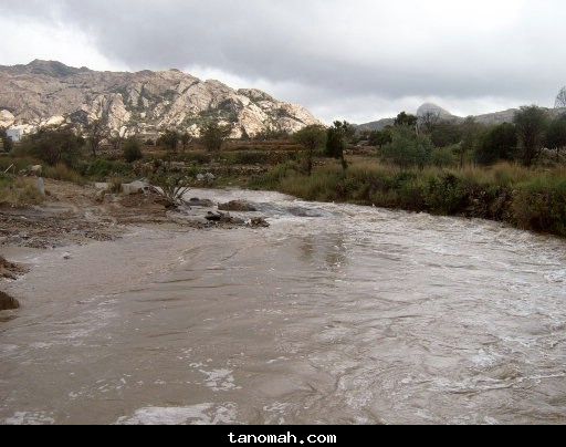 الأمطار والسيول