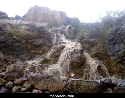 الأمطار والسيول