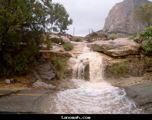 الأمطار والسيول