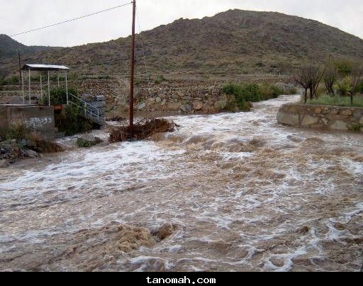 الأمطار والسيول