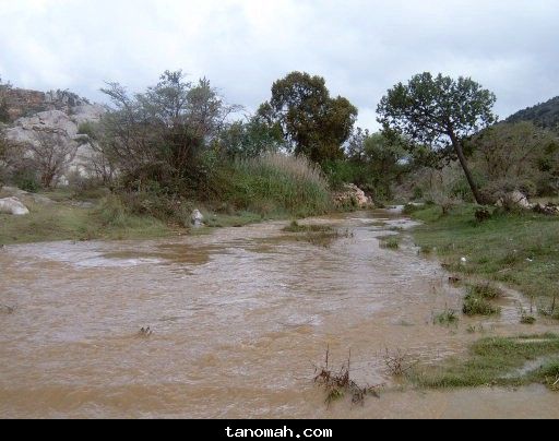 الأمطار والسيول