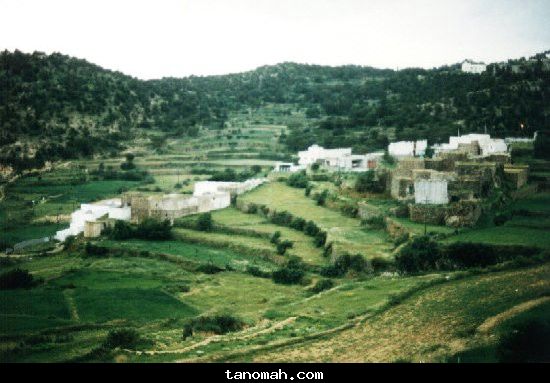 منوعة