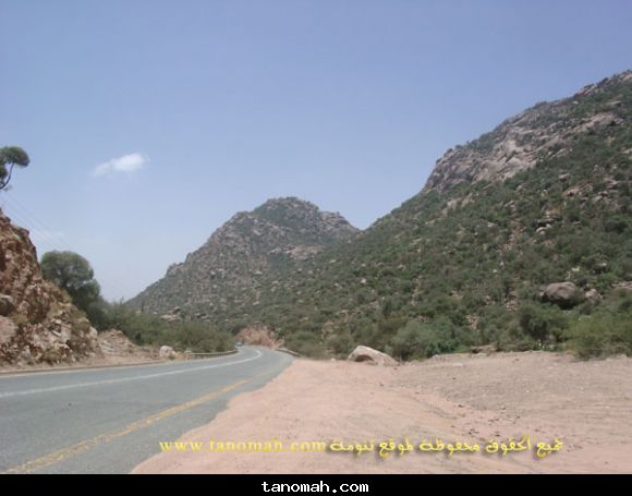 منوعة