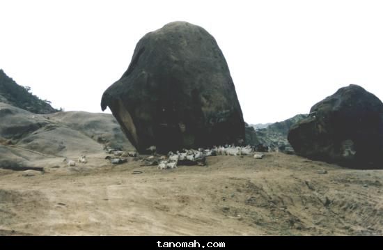 منوعة