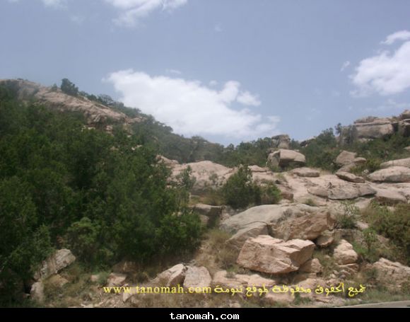 مناظر1426