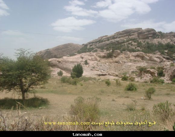 مناظر1426