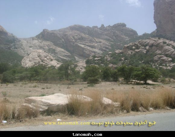 مناظر1426