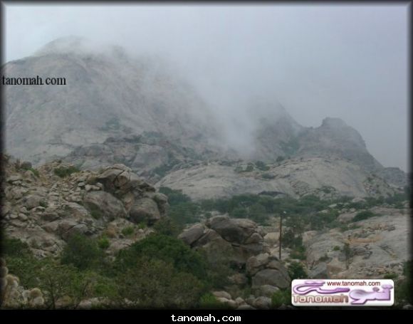 مناظر 1423