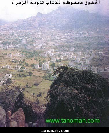 صورقديمة