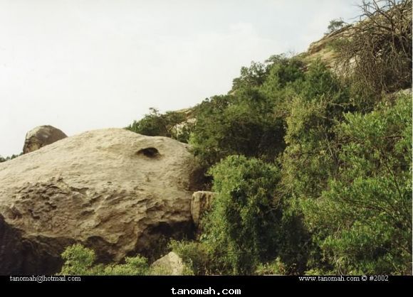 طبيعة جبل منعا 1422