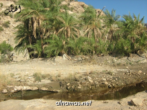 عقبة ساقين- تنومة (تصوير الهطل - النماص نت)