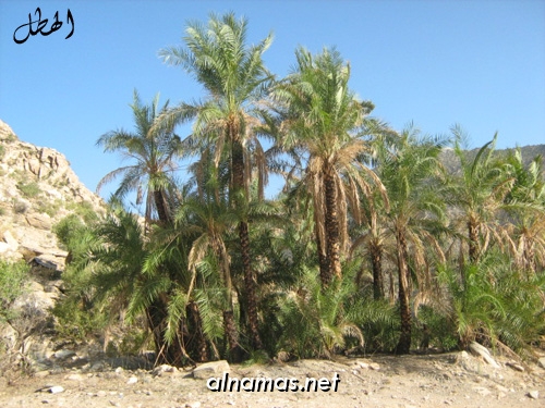 عقبة ساقين- تنومة (تصوير الهطل - النماص نت)