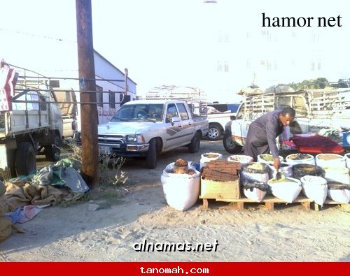 سوق خاط - عدسة هامور نت - موقع النماص