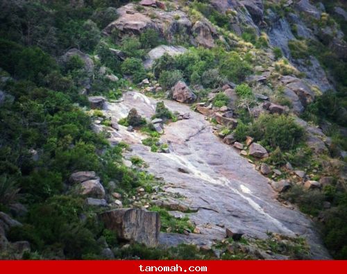 صور من جبل ال مغلف بختبه - عدسة عمار الشهري