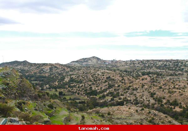 منظر من فرعة قريش