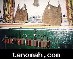 مناظر 1422