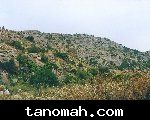 مناظر 1422