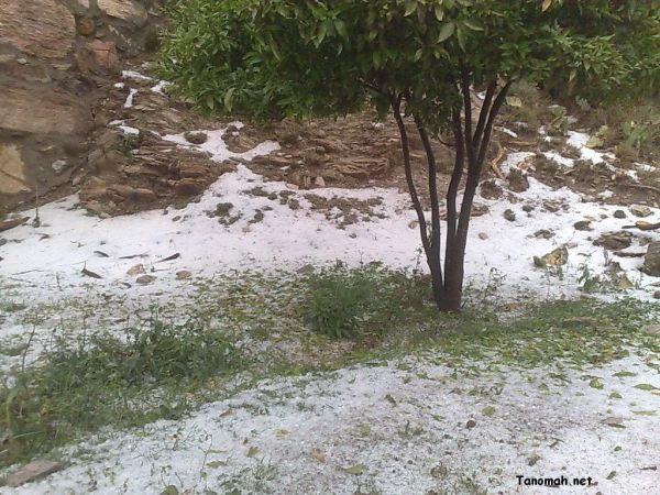 أمطار وثلوج تنومة الاثنين21-4-1431هـ تصوير البهيشي
