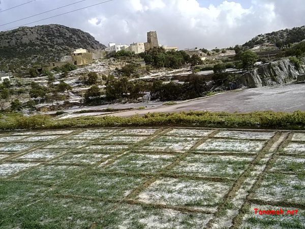 أمطار وثلوج تنومة الاثنين21-4-1431هـ تصوير البهيشي