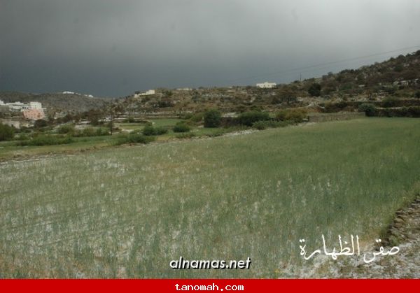 صور لامطار النماص وضواحيها اليوم الاثنين 20/4/1431 هـ (تصوير صقر الظهارة) 