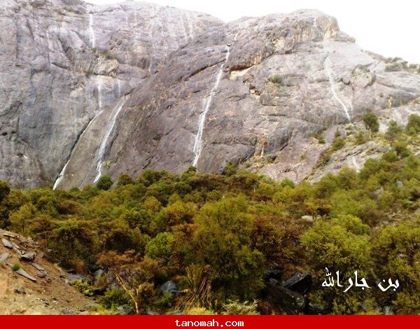 صور امطار وبرد تنومة الأثنين 20/4/1431 (تصوير بن حارالله)