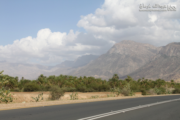 منظر من ثلوث المنظر بتهامة بني شهر