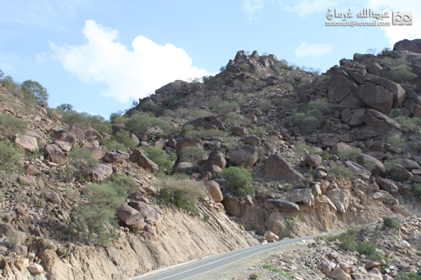 جبل بركوك ...الجبل الشامخ والطبيعة الساحرة