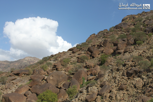 جبل بركوك ...الجبل الشامخ والطبيعة الساحرة