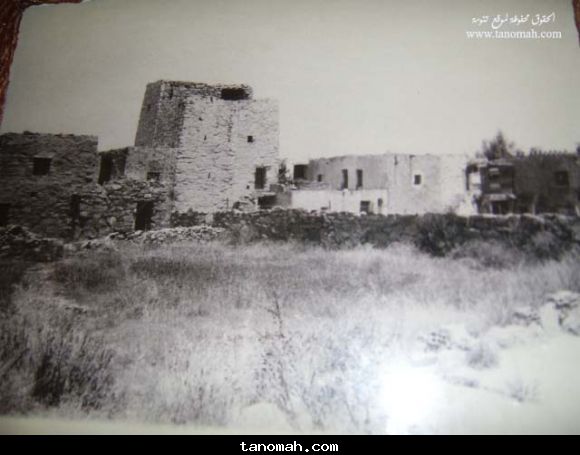 مناظر من تنومة 48