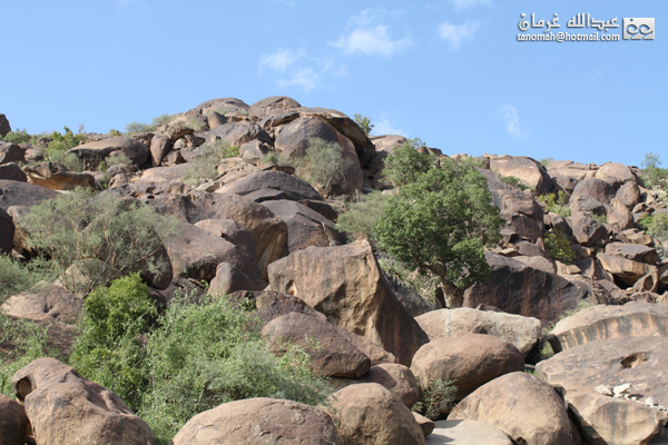 جبل بركوك ...الجبل الشامخ والطبيعة الساحرة