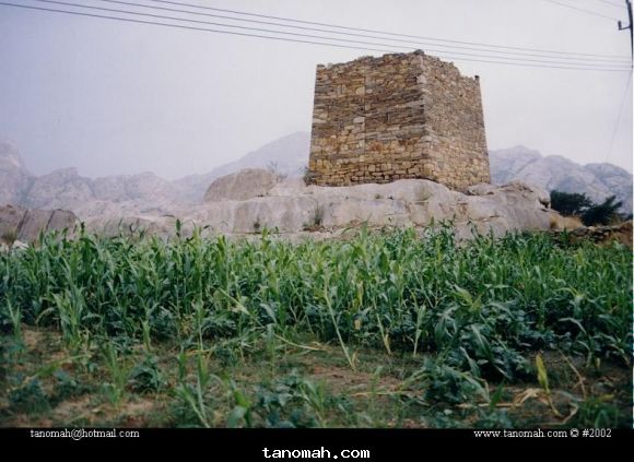 حصن روضة الشهير في مزرعة بن غرمان مناظر 1422