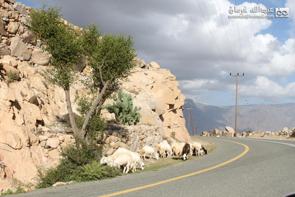 جبل بركوك ...الجبل الشامخ والطبيعة الساحرة