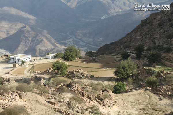 جبل بركوك ...الجبل الشامخ والطبيعة الساحرة