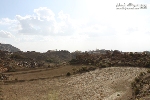 جبل بركوك ...الجبل الشامخ والطبيعة الساحرة