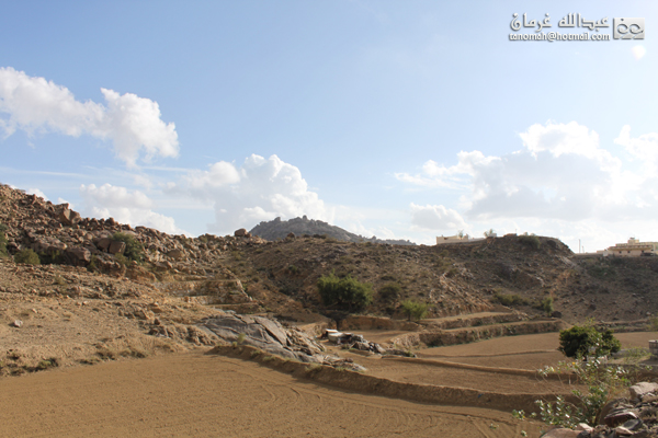 جبل بركوك ...الجبل الشامخ والطبيعة الساحرة