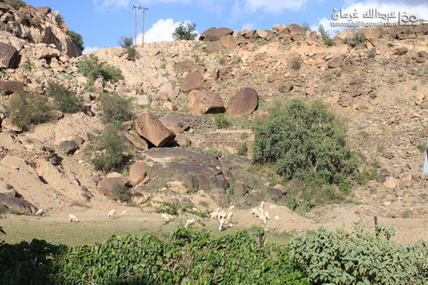 جبل بركوك ...الجبل الشامخ والطبيعة الساحرة