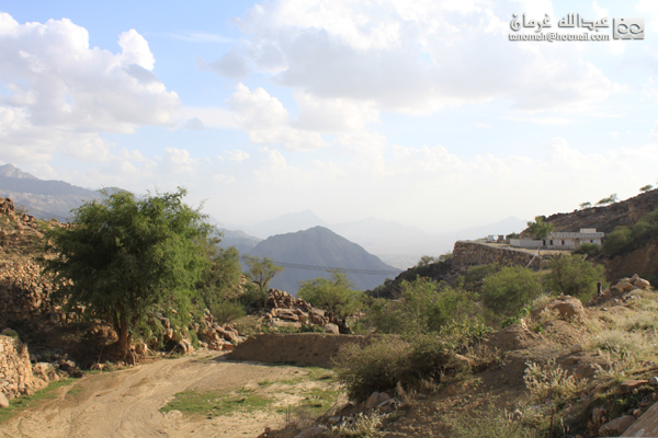 جبل بركوك ...الجبل الشامخ والطبيعة الساحرة