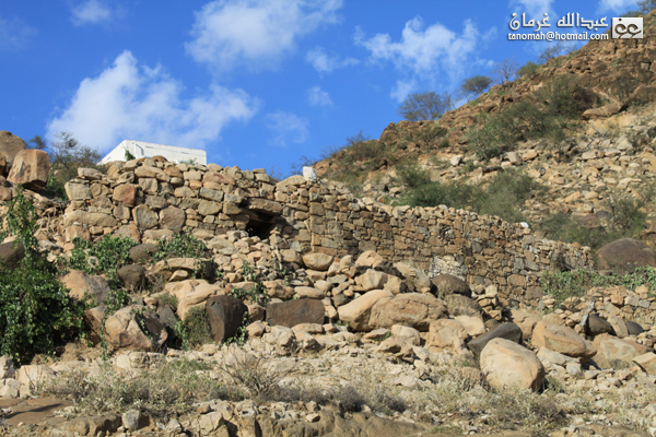 جبل بركوك ...الجبل الشامخ والطبيعة الساحرة