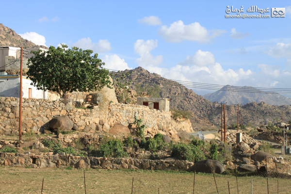 جبل بركوك ...الجبل الشامخ والطبيعة الساحرة