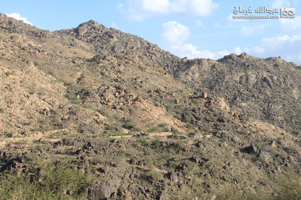 جبل بركوك ...الجبل الشامخ والطبيعة الساحرة