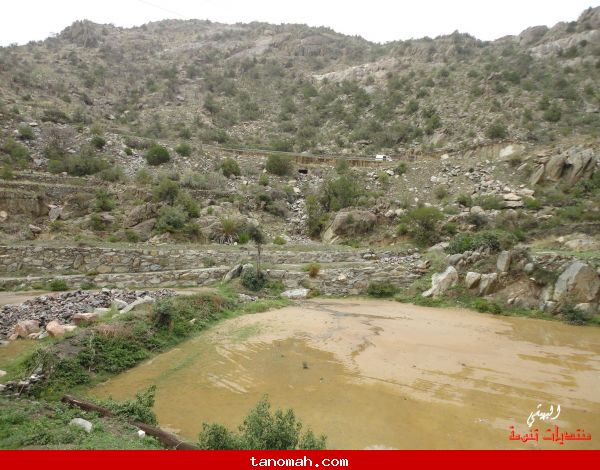 صور من وادي الغر - تصوير البهيشي 5