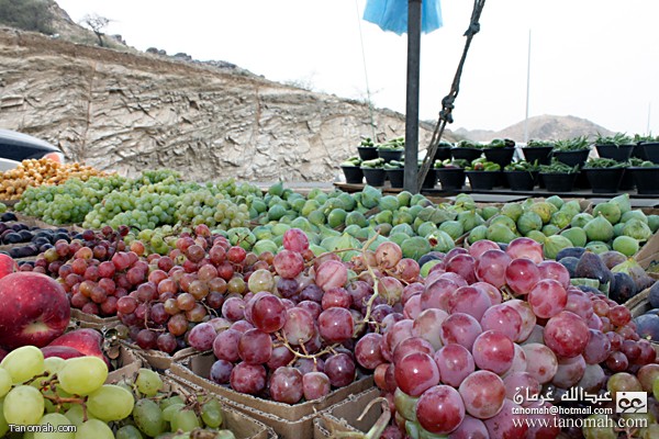 صورة التقطتها كامرا الموقع لبعض المتجات الزراعية التي تباع على طريق ابها الطائف
