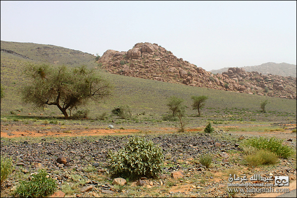 بادية بللسمر (خارف)