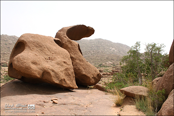 بادية بللسمر (خارف)