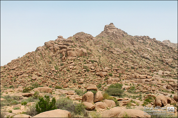 بادية بللسمر (خارف)