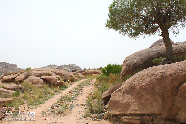 بادية بللسمر (خارف)